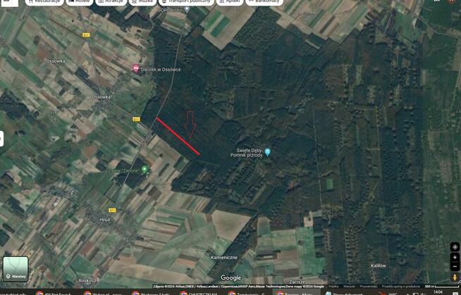 Sprzedam LAS Działka leśna 1,2ha Hrud, Roskosz | 2zł/m2