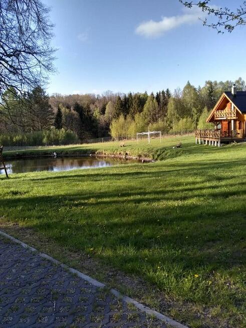 Siedlisko-daleko od cywilizacji!!.dom..staw..media