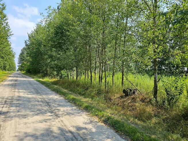 Działka blisko Lasów Kozłowieckich, Nowodwór