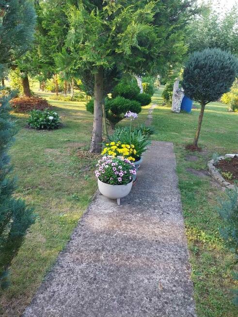 Wolne ogródki działkowe! ROD Konopnickiej w Kożuchowie