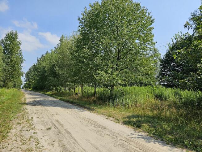 Działka blisko Lasów Kozłowieckich, Nowodwór