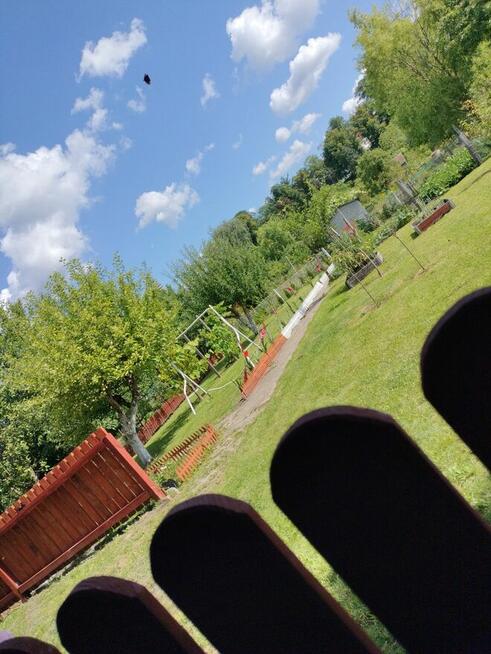 Wolne ogródki działkowe! ROD Konopnickiej w Kożuchowie