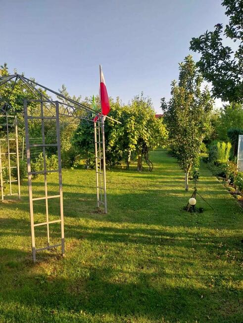 Wolne ogródki działkowe! ROD Konopnickiej w Kożuchowie