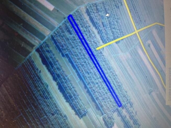 Trzy działki leśne (RL) w Podlodówce gm. Ułęż.