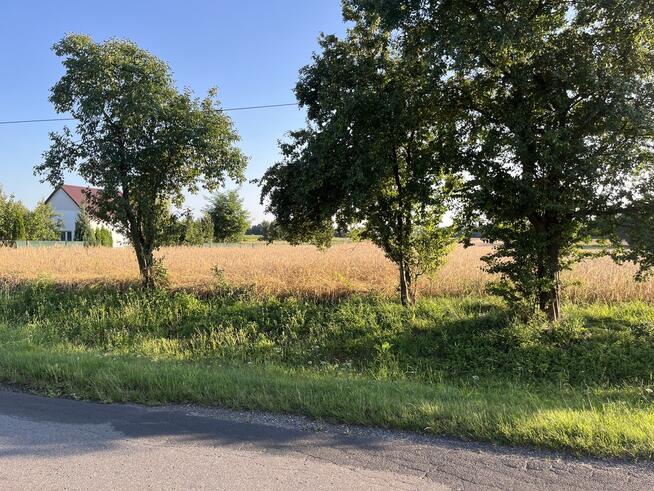 Dwie działki rolne z WZ w Helenowie gm. Policzna.