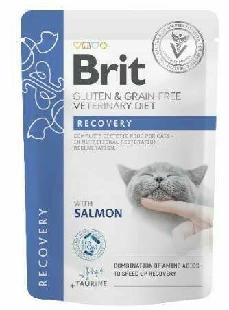 Brit gf vet. cat pouch recovery