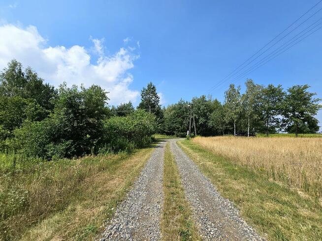 Działka blisko Lasów Kozłowieckich, Nowodwór