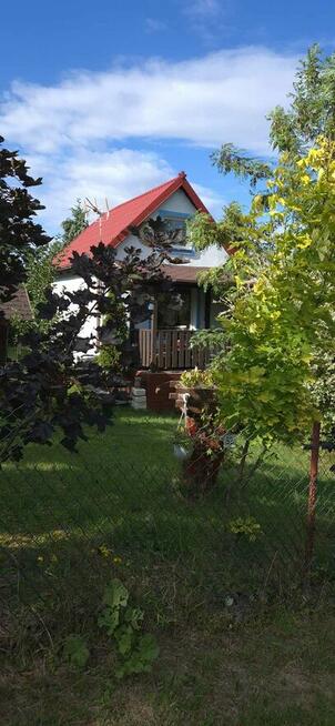 Działka ROD Zarzeczewo