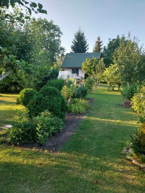 Wolne ogródki działkowe! ROD Konopnickiej w Kożuchowie