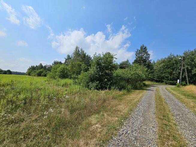 Działka blisko Lasów Kozłowieckich, Nowodwór