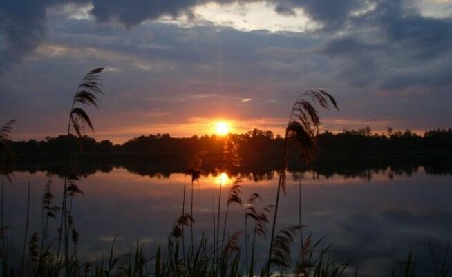 Przepiękna dz.budowlana k. Janowca/Kaziemierza Dolnego