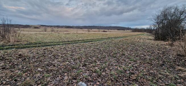 Działka pod fotowoltaikę, przemysłowa, inwestycyjna 7800 m2