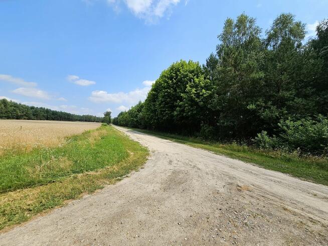 Działka blisko Lasów Kozłowieckich, Nowodwór