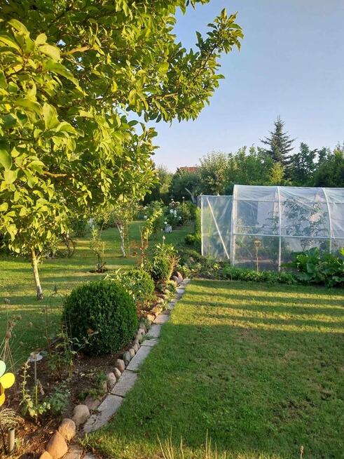 Wolne ogródki działkowe! ROD Konopnickiej w Kożuchowie