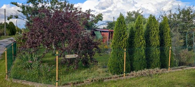 DZIAŁKA REKREACYJNA