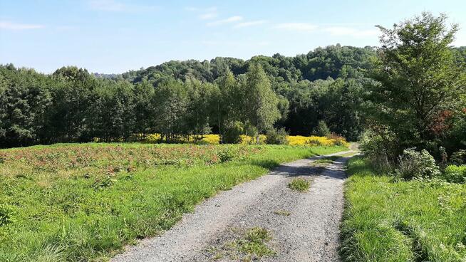 Działka 2x12a, Wrząsowice, Świątniki Górne, okolice Krakowa