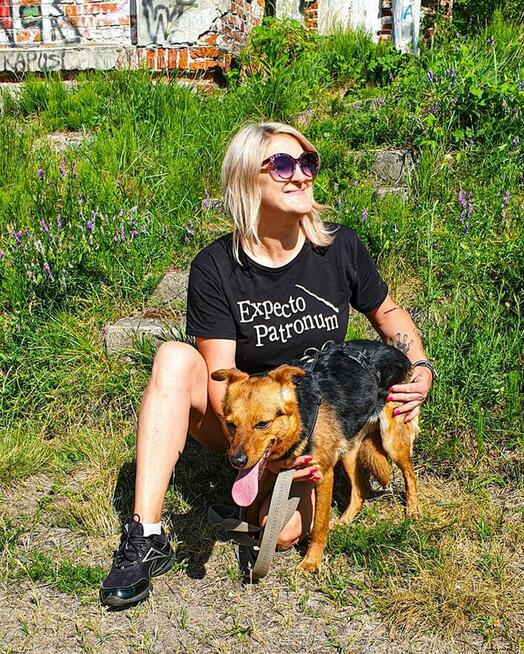 Delikatna, lękliwa suczka szuka domu z psim towarzystwem!