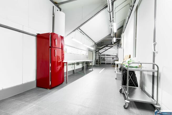 DOPIEWO, ZAKRZEWO OBIEKT NA WYNAJEM