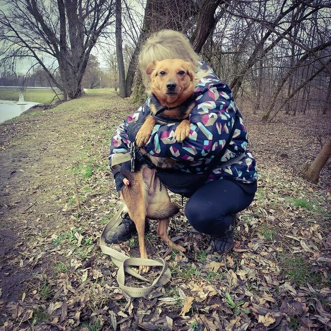 Delikatna, lękliwa suczka szuka domu z psim towarzystwem!