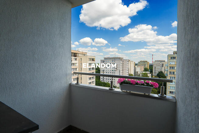 Mieszkanie do wprowadzenia Sadyba widok