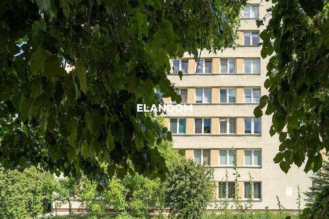 Mieszkanie do wprowadzenia Sadyba widok