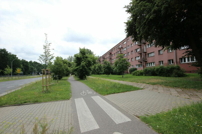 2 pokojowe na Bielanach AWF, Las Bielański