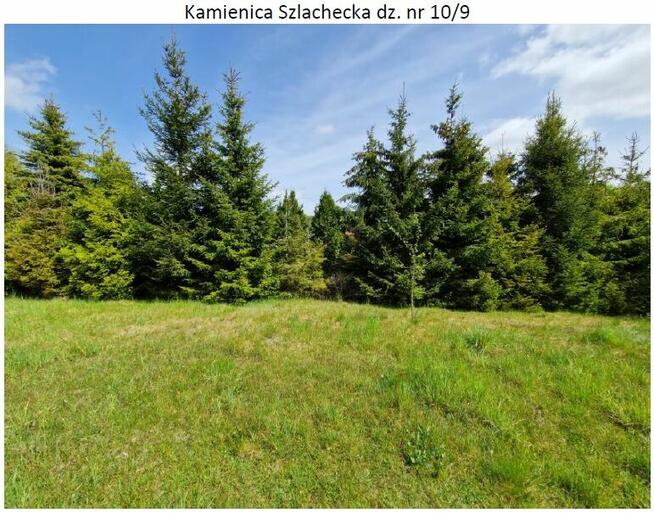 Syndyk sprzeda nieruchomości zabudowane - Kamienica Szlachec