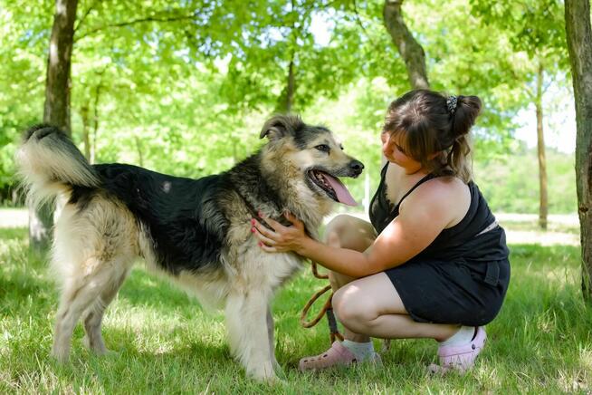 Mobi-kudłaty spokojny psiak do adopcji
