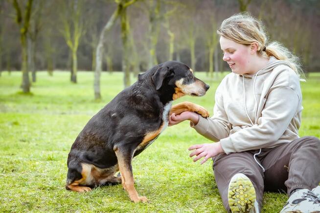 Kora - starsza delikatna i kontaktowa suczka do adopcji