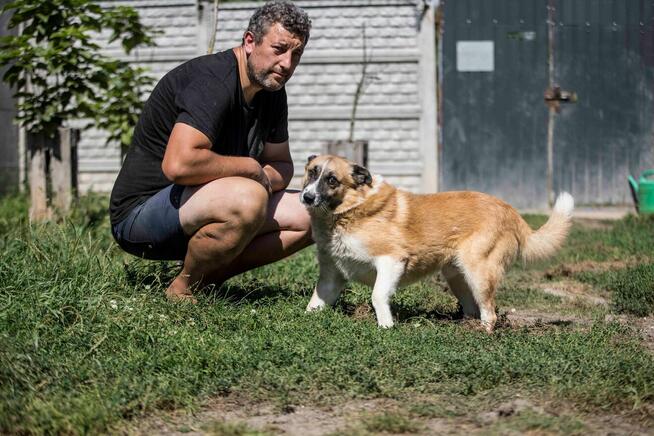 Cudowny pies szuka domu - przyjaciel idealny! :)