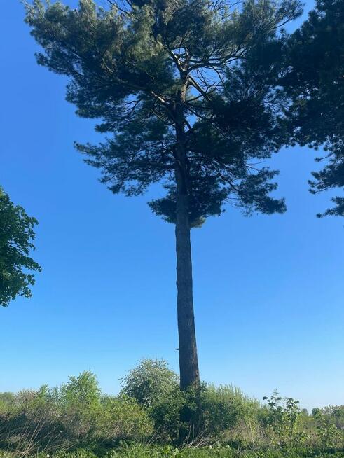 Dom podcieniowy do wasnej aranżacji