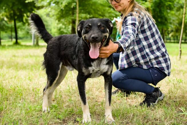 Pączek -cudowny- aktywny młodzieniec do adopcji