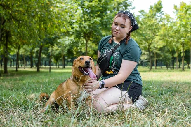 Apik-rudy młody wesoły piesek do adopcji