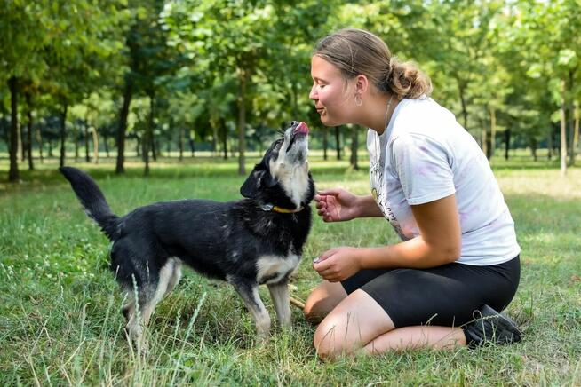 Michasia-cudowna starsza suczka czeka na kochający dom