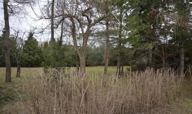 Działka 1,29ha, działka, grunt Janki, gmina Raszyn Warszawa