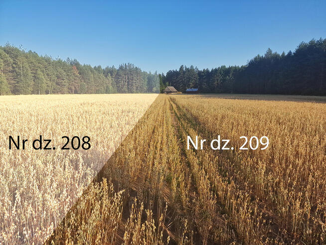 Zabudowana działka 9,44 ha okolice Augustowa