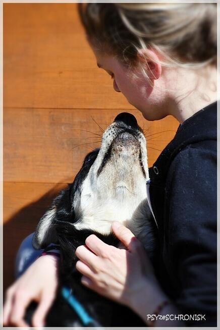 Norek - mimo złej passy jest wesoły jak szczeniak
