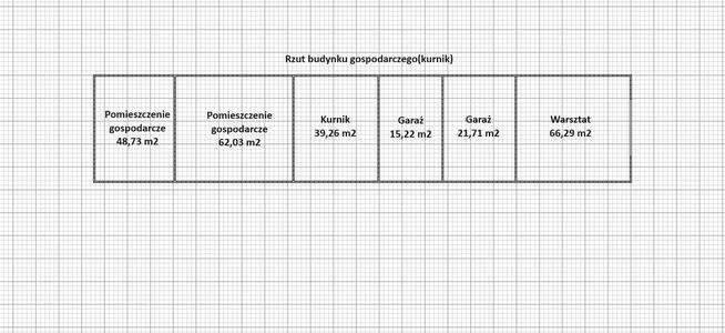 Dom dla dwóch rodzin z dużą działką - Słupca