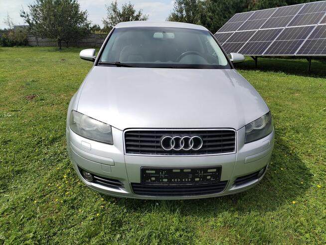 Audi a3 8p 1,6mpi Xenon