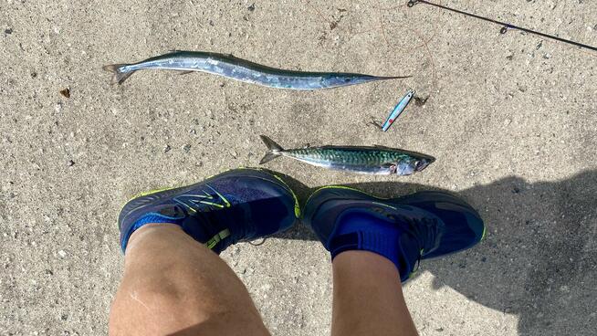 Żyjemy tak jak śnimy - samotnie !