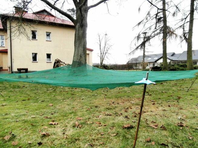 Siatka do nasion, szyszek, orzechów, owoców 4mx8m (64g/m2)