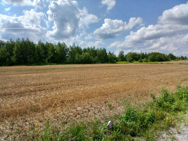 Działka budowlana Krze Duże gm. Radziejowice,