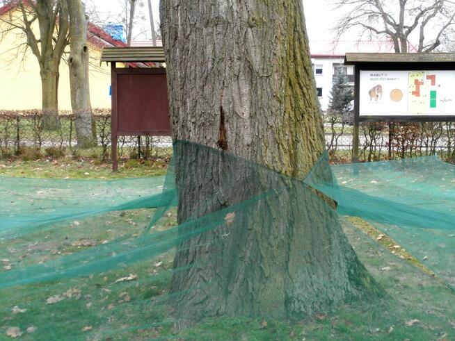 Siatka do nasion, szyszek, orzechów, owoców 12mx12m (64g/m2)