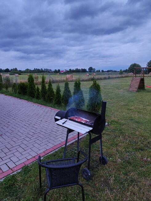 Blisko Natury - domki w Sztutowie - polskie morze