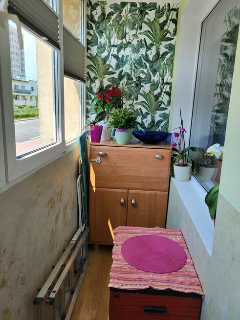 Zamienię własnościowe w centrum Elbląga na okolice.