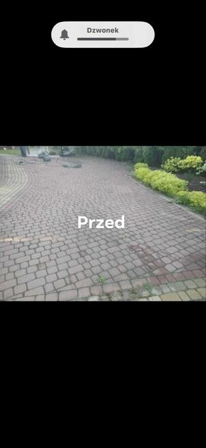 Oferuje Prace porządkowe w domu i ogrodzie