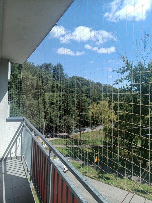 Montaż siatek przeciw ptakom