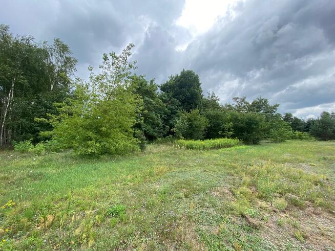 Działka budowlana w Gołąbku 1514m²!!!