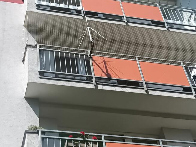 Montaż siatek przeciw ptakom