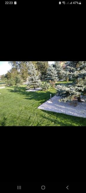 Oferuje Prace porządkowe w domu i ogrodzie